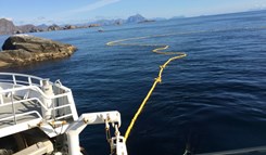 Makrellfiske nært land i Lofoten